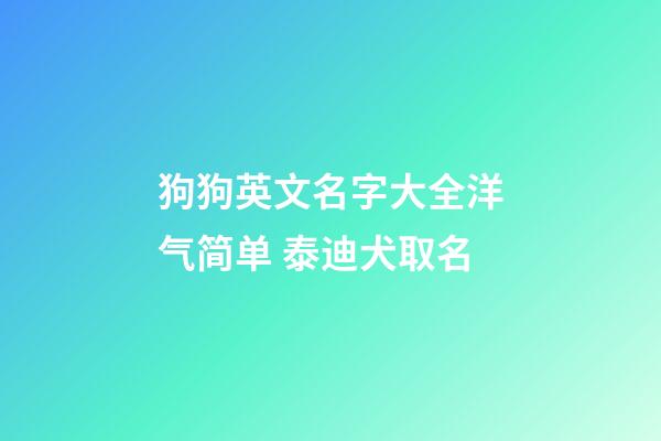 狗狗英文名字大全洋气简单 泰迪犬取名